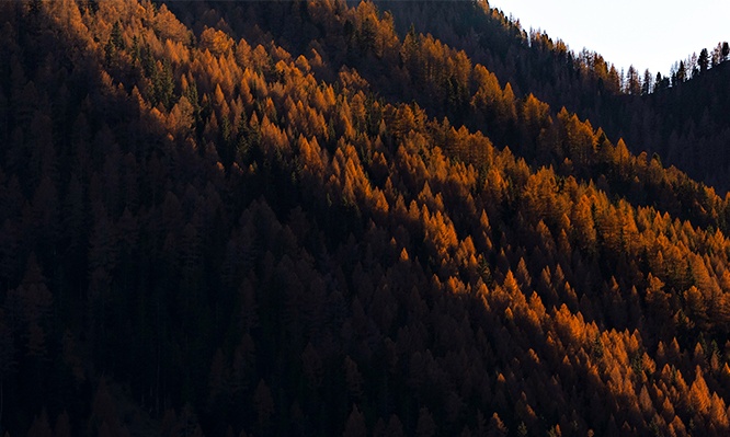 montagne